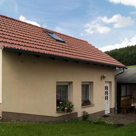 Ferienhaus Fischer Kurort Gohrisch Buitenkant foto