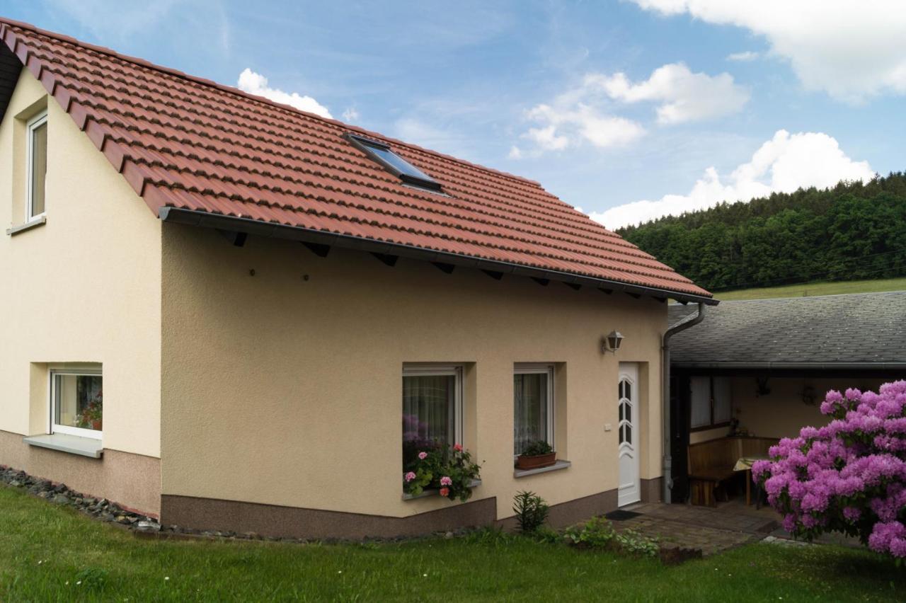 Ferienhaus Fischer Kurort Gohrisch Buitenkant foto