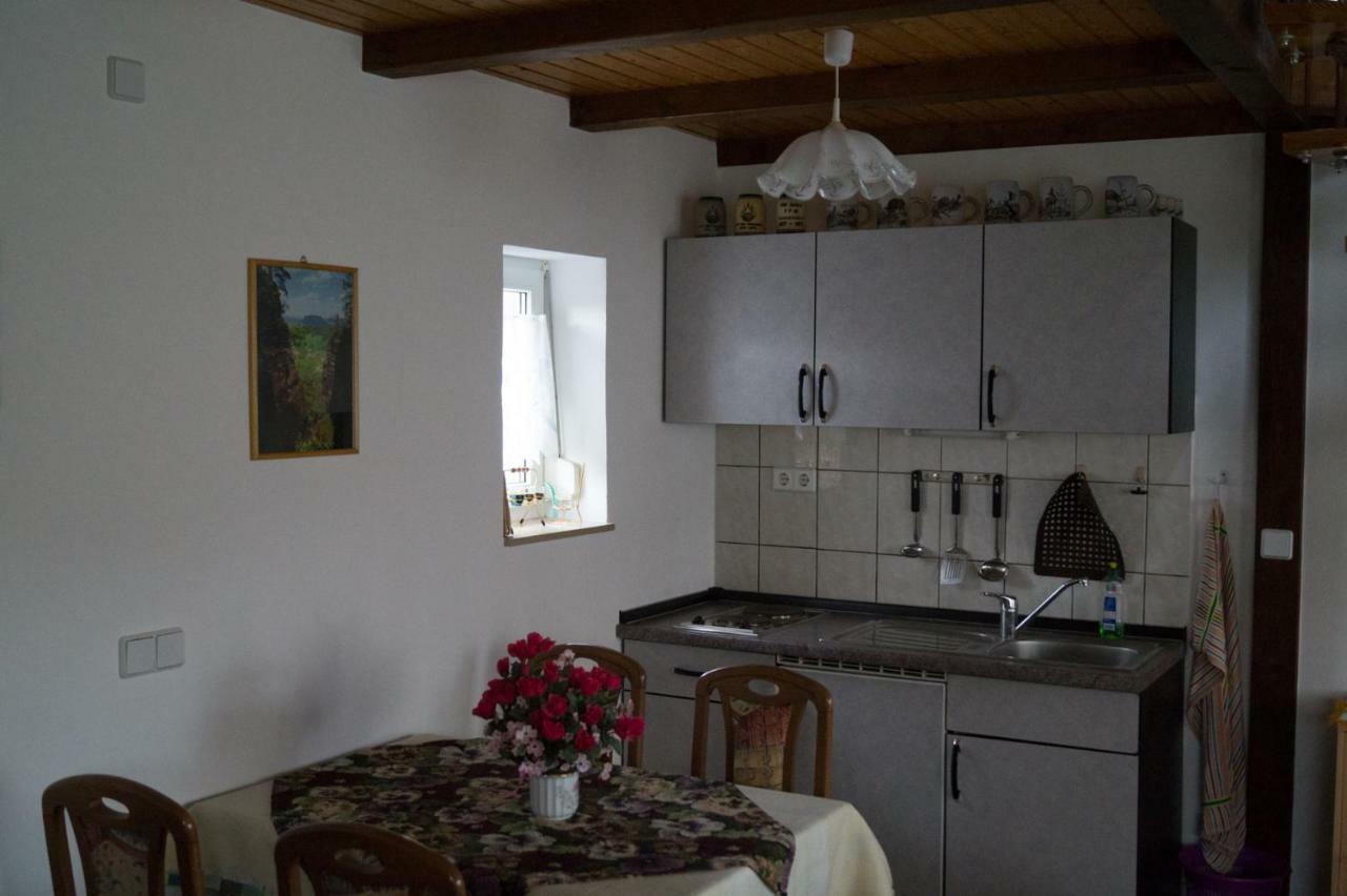 Ferienhaus Fischer Kurort Gohrisch Buitenkant foto